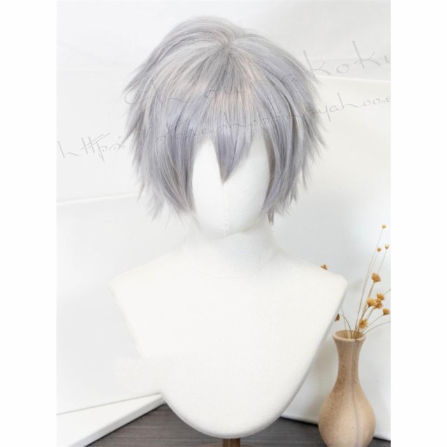 新世紀エヴァンゲリオン 風 渚カヲル ウィッグ WIG 耐熱 cosplay